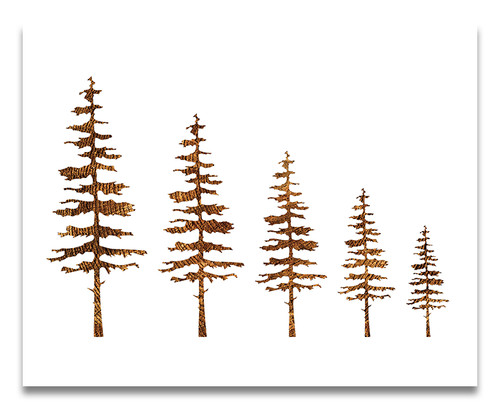 Pine tree stencil sizes - sizes,